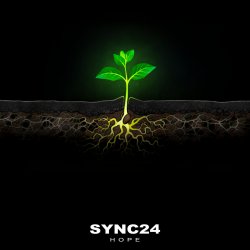 Cover SYNC24 - The Frog and the Bubble