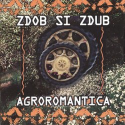 Обложка Zdob și Zdub - Doina haiducului