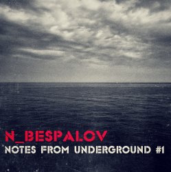Обложка N_Bespalov - Space