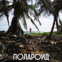 Обложка Dima Sneg - Полароид (Remix)