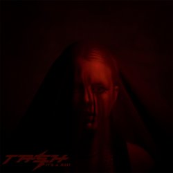 Обложка Dear Tash - It's A Riot