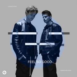 Обложка Lucas & Steve - Feel So Good