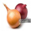 internetcafe247 - funny onion song