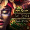 Pura Vida & Ayawaska - The Dream