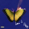 Maroon 5 & Lil Wayne - Love Is Like