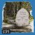 GSPD & Dead Blonde -    