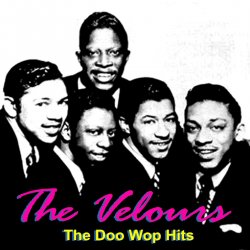 Обложка The Velours - My Love Come Back