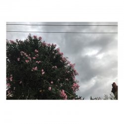 Обложка Ceres feat. Japanese Wallpaper - Stretch Ur Skin