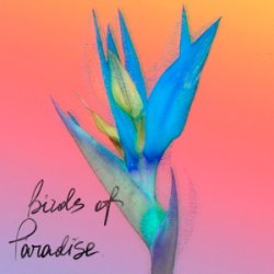 Обложка From:Ksusha & Yongue - Birds Of Paradise