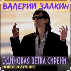 Обложка Валерий Залкин - Одинокая ветка сирени