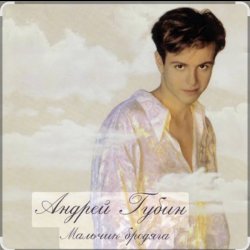 Обложка Андрей Губин - Мальчик бродяга