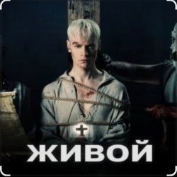 Обложка Shaman - Живой
