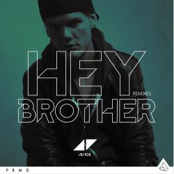 Обложка Avicii - Hey Brother (Syn Cole Remix)