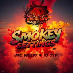 Обложка Dj Stp, Mc Weedy - All My Love