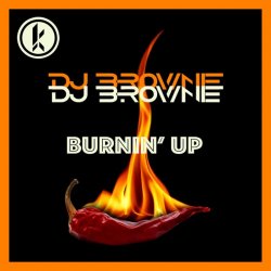 Обложка DJ Brownie - Burnin Up