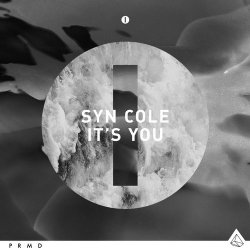 Обложка Syn Cole - It's You (Original Mix)