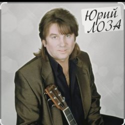Обложка Юрий Лоза - Вот и прошел год