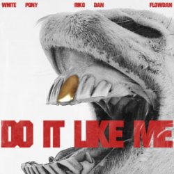 Обложка White Pony & Riko Dan & Flowdan - Do It LIke Me (VIP)