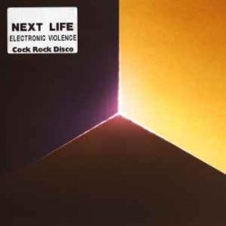 Обложка Next Life - The Mirror
