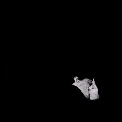 Обложка Bob Moses - Like It Or Not