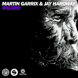 Обложка Martin Garrix & Jay Hardway - Wizard (Original Mix)