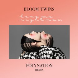 Обложка Bloom Twins - Love Me Right Now (Polynation Remix)