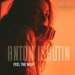 Обложка Anton Ishutin - Into The Night