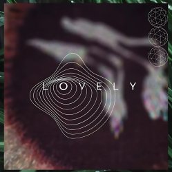 Обложка Slowsly - Black Bird (Original Mix)