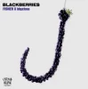 Обложка FISHER & bbyclose - Blackberries (Extended Mix) FISHER & bbyclose - Blackberries (Extended Mix)