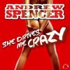 Обложка Andrew Spencer - She Drives Me Crazy (Festival Extended Mix) Andrew Spencer - She Drives Me Crazy (Festival Extended Mix)