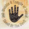 Jah Wobble & Temple Of Sound - Hayati