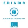 封面 ENIGMA - Je T'aime Till My Dying Day (NJ Remix) ENIGMA - Je T'aime Till My Dying Day (NJ Remix)