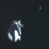 Аквариум - Лошадь Белая