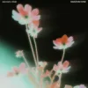 Portada Oskar med k & Khalid - nobody (make me feel) Oskar med k & Khalid - nobody (make me feel)