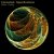 Обложка Converted Specifications - Genuine Moments