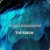 Cover Chris Wonderful - Anisotropic Universe