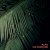 Cover Au.Ra - Nowhere