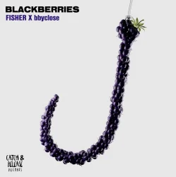 Обложка FISHER & bbyclose - Blackberries (Extended Mix)