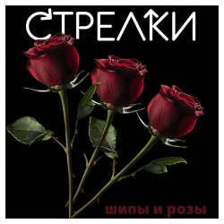 Обложка Sтрелки - Нет любви