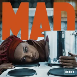 Обложка Imany - Mad
