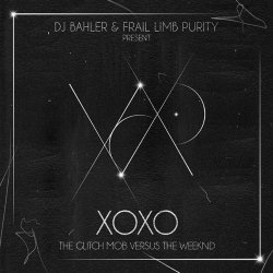 Обложка DJ Bahler & Frail Limb Purity - Highs & Lows