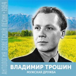 Обложка Владимир Трошин - Ты не печалься