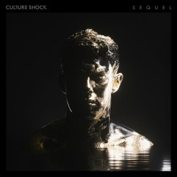 Обложка Sub Focus feat. Culture Shock - Move Higher