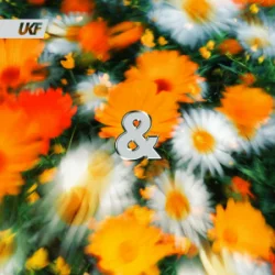 Обложка Ekko & Sidetrack - Peace of Mind