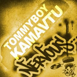 Обложка Tommyboy - Kamavtu (Crazibiza Remix)