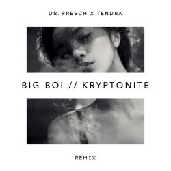 Обложка Big Boi - Kryptonite (Dr. Fresch x Tendra Remix)