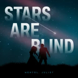 Обложка Paris Hilton - Stars Are Blind (Mentol & Juliet Cover Remix)
