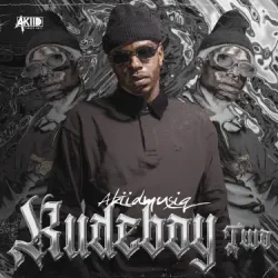 Обложка AkiidMusiq - Vutha Mlilo (Mixed)