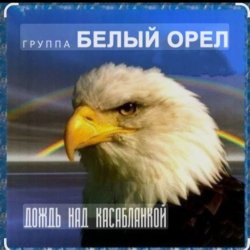 Обложка Белый Орел - Дождь над Касабланкой