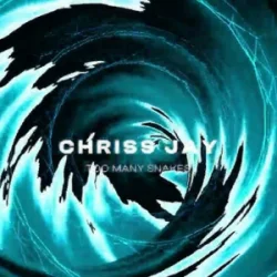 Обложка Chriss Jay - Too Many Snakes